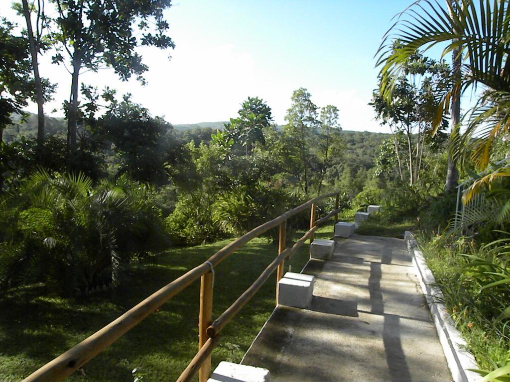 Villa Bush Baby Glen Hazyview Esterno foto