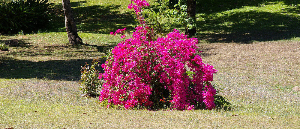 Villa Bush Baby Glen Hazyview Esterno foto